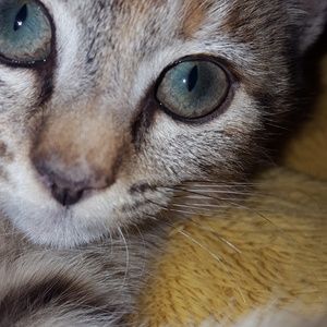 Meet your Posher, Crystal